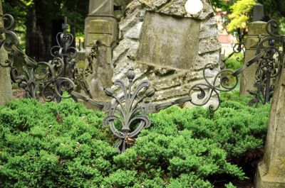 Stary Cmentarz. Fragment secesyjnego ogrodzenia z metaloplastyki z motywem mak&oacute;wek z nagrobka Mieczysława Michniewicza. Fot. E. Hardt